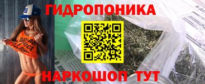 индика Коломна