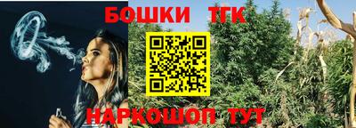 индика Коломна