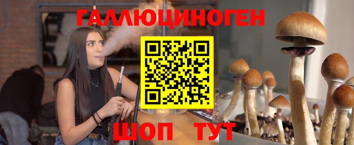 Псилоцибиновые грибы MAGIC MUSHROOMS  Галлюциногенные грибы MAGIC MUSHROOMS  Михайловск  Вход с VPN 