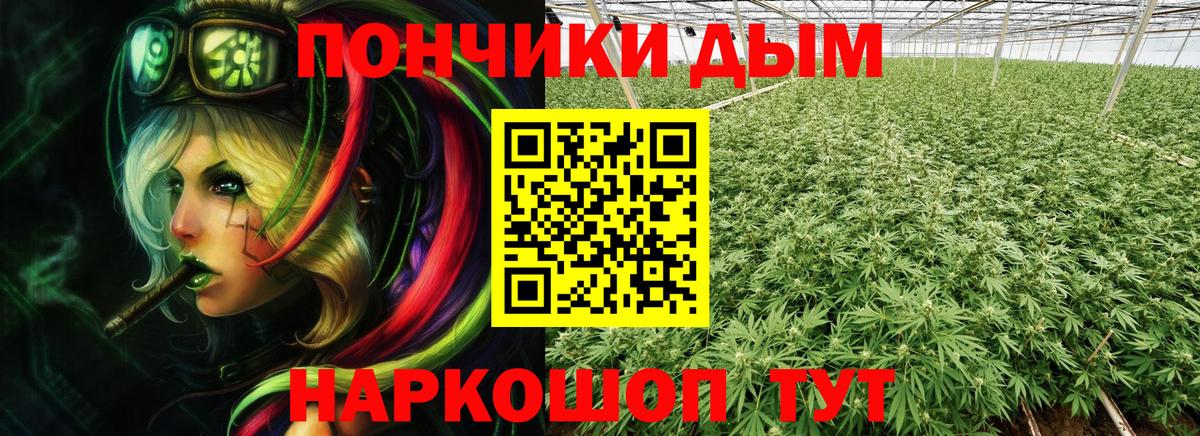 Каннабис индика Михайловск